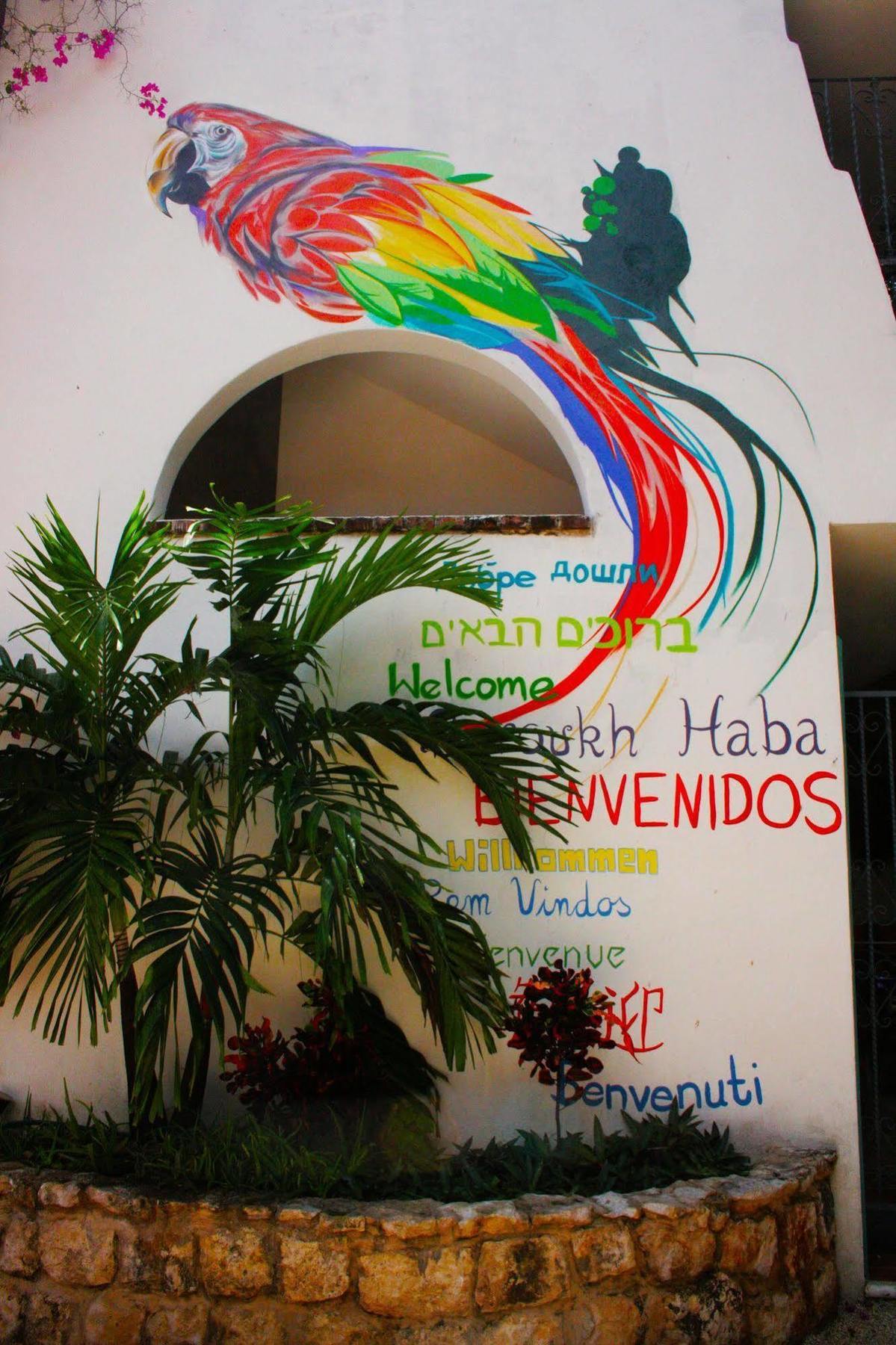 The Yak Hostel Playa del Carmen Kültér fotó